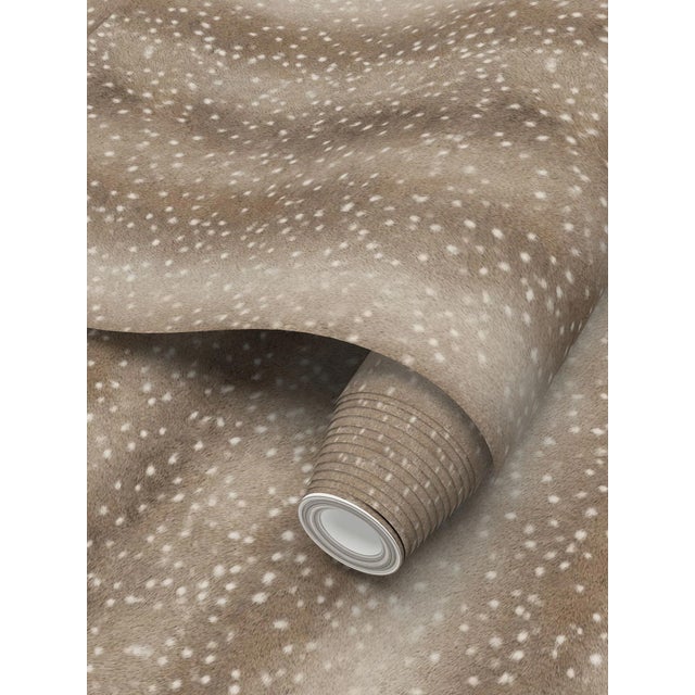 2020s Wilde Spotted Antelope Hide Traditional Wallpaper – Whiskey Brown Single Roll For Sale - Image 5 of 8