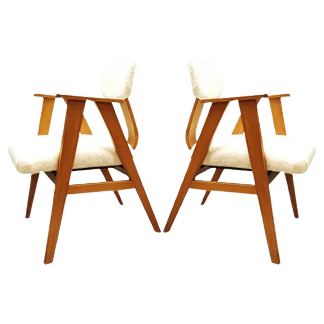 Set of Vintage Dutch Armchairs by Stoelen for Pastoe, 1950s For Sale