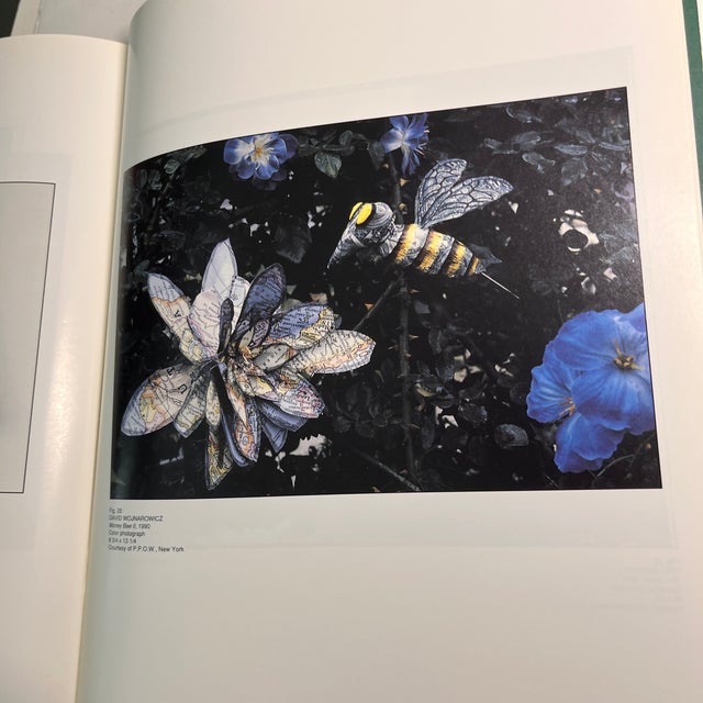 1991 the Realm of the Coin Book For Sale In New York - Image 6 of 11
