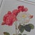 Paper After Pierre-Joseph Redouté, Roses, 1950s, Prints, Framed, Set of 4 For Sale - Image 7 of 18