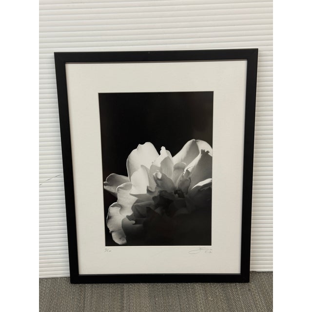 Jess Johnston Photograph, Framed For Sale In San Francisco - Image 6 of 12