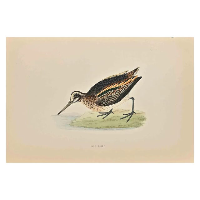 Alexander Francis Lydon, Jack Snipe, Woodcut Print, 1870 For Sale