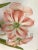 Exquisite original hand painted watercolor by Jayne Crews. Incredible detail of an Amaryllis in a pot. Double matted with...
