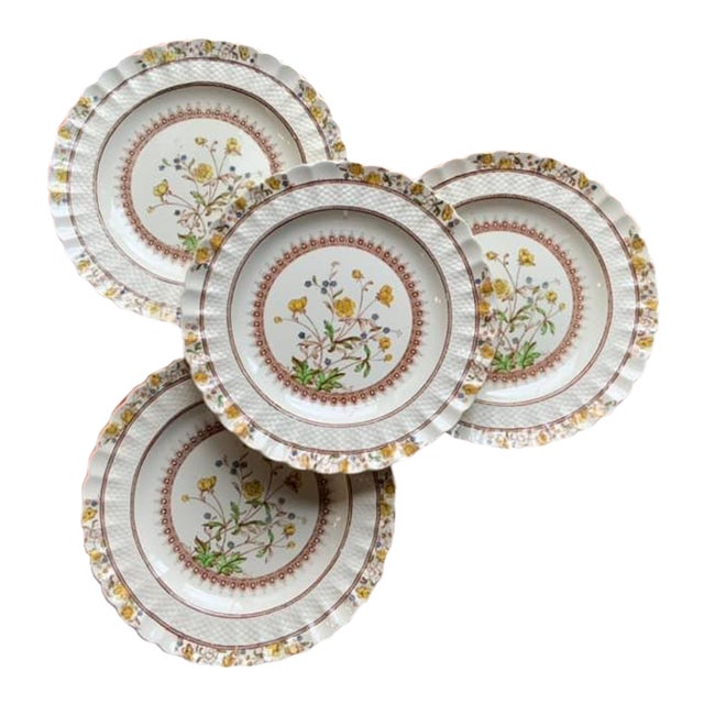 Antique Spode Dinner Plates Set of 4 Chairish