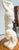 Stone Hiram Powers, Nude The Dying Slave, 19th Century White Carrara Marble For Sale - Image 7 of 8