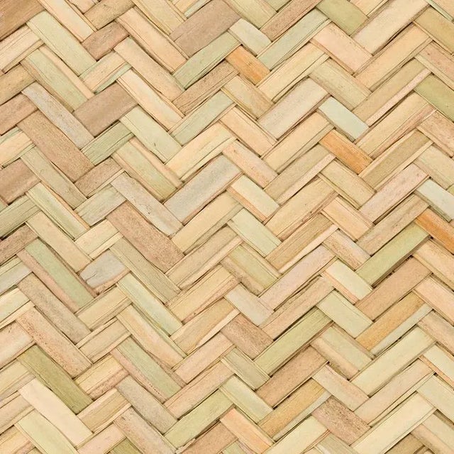 Coastal Rush House for Chairish Pascual Palm Matted Rug, 5' x 7' For Sale - Image 3 of 8