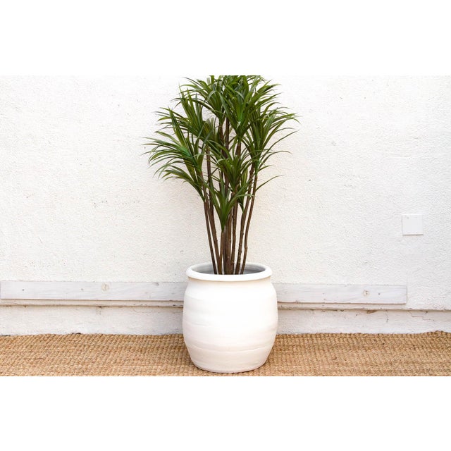 Rounded Paros White Mediterranean Terracotta Pot For Sale In Los Angeles - Image 6 of 6