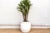 Rounded Paros White Mediterranean Terracotta Pot For Sale In Los Angeles - Image 6 of 6