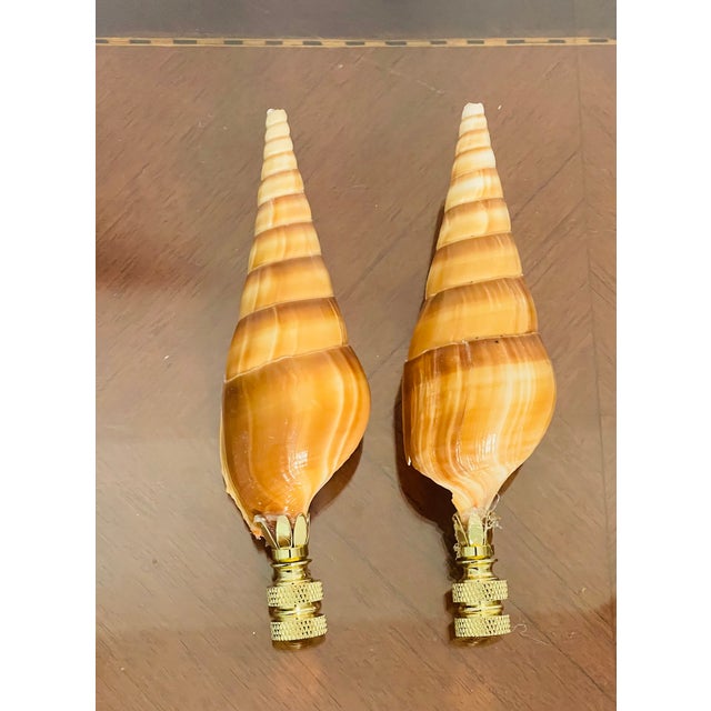 1970s Coastal Pair Turbo Sea Shell Lamp Finials For Sale - Image 4 of 4