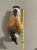 Vinatge MCM Wooden Bird Factory 13" Hand Carved Painted Decoy Canadian Goose For Sale - Image 4 of 7