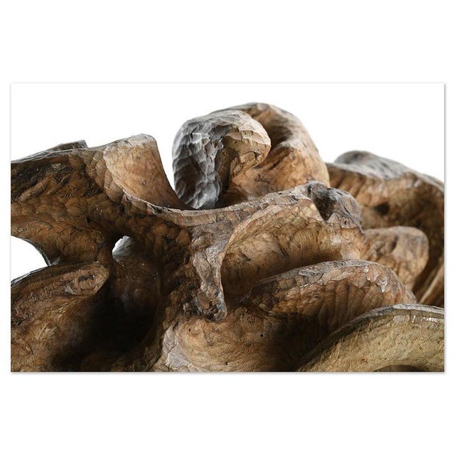 Carved Teak Root Sculpture For Sale - Image 5 of 8