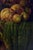 Antonio Celli, Still Life, Early 1990s, Oil on Canvas, Framed For Sale - Image 5 of 8