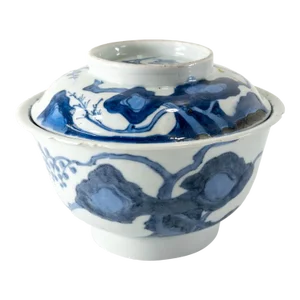 18th Century or Earlier Chinese Ming Style Blue and White Provincial Bowl