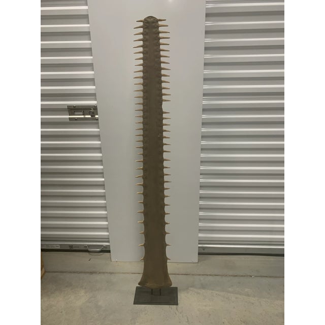 Taupe Set of 2 Faux Sawfish Bill Rostrums on Metal Stands, 1980s For Sale - Image 8 of 11