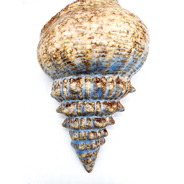 Tan 20th C. Ceramic Conch Shell Wall Pocket Planters – A Pair – Coastal / Beach Cottage For Sale - Image 8 of 10