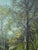The Edge of the Woods, Late 19th Century, Oil on Canvas For Sale - Image 8 of 15