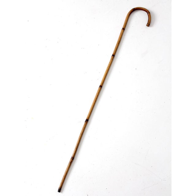 Antique Bamboo Walking Canes Collection For Sale - Image 6 of 14