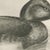 After Lilian Medland, Diving Duck, 1909, Print For Sale - Image 6 of 9