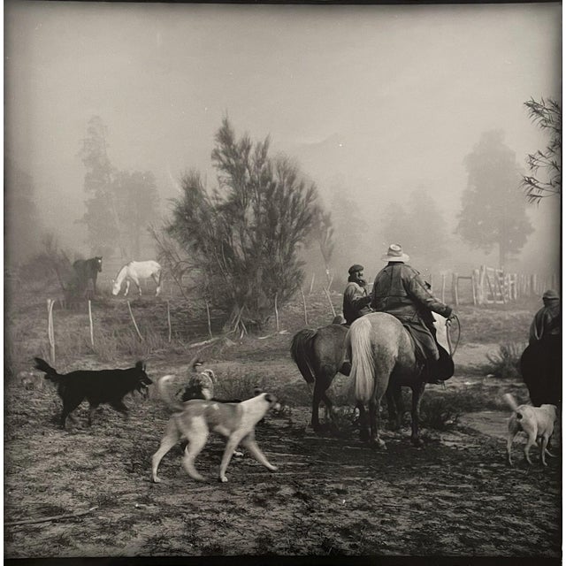 Emmanuel Ortiz, Argentina Patagonia, 2008, Silver Print For Sale
