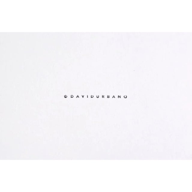 Blue Men of Marble Collection Photograph by David Urbano For Sale - Image 8 of 13