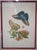 Traditional Pair of Vintage Framed & Matted Butterfly Engravings For Sale - Image 3 of 8
