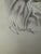 1940s 1940s Original Graphite Illustration of Child in Winter Bonnet With Pink Ribbon, 10.5 × 8 In. For Sale - Image 5 of 6