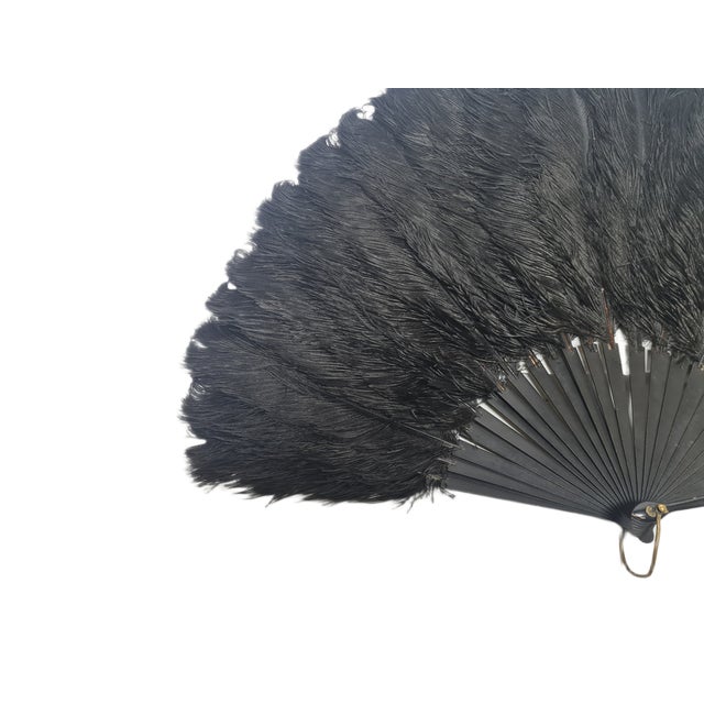 Art Deco Polish Autriche Feather Fan, 1920s For Sale - Image 14 of 16