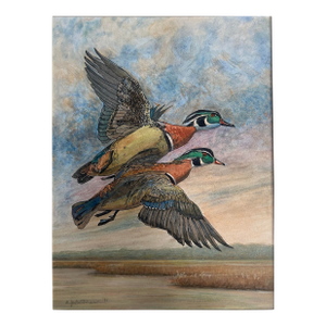 1990’s Impressionist “Two Male Wood Ducks in Flight Over Marsh” Watercolor Painting
