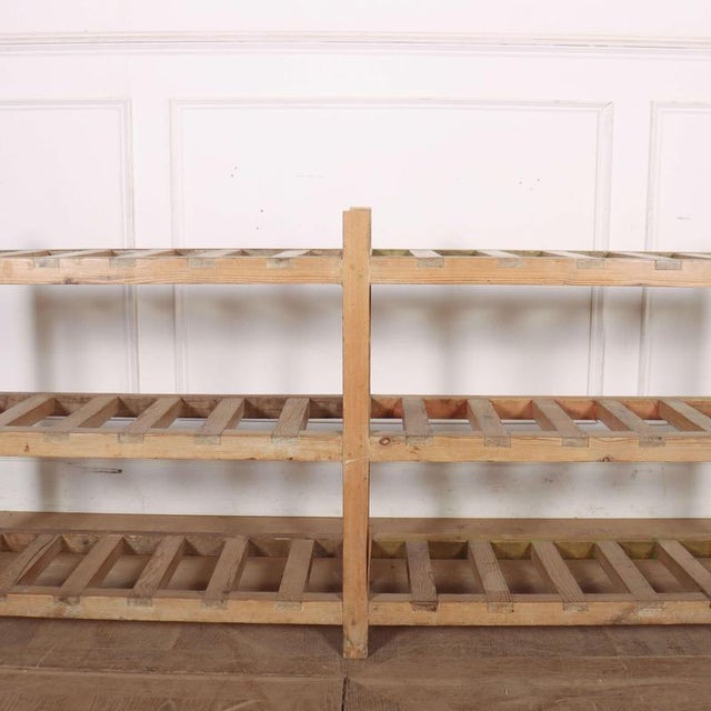 Scottish Pine Shoe Rack, 1890s For Sale - Image 4 of 7