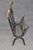 1950s Maison Jansen Attributed Brass & Metal Rams Head & Hoofed Magazine Rack For Sale - Image 5 of 10
