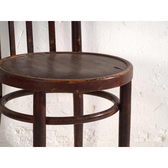 Bentwood Armchairs in the style of Thonet, Central Europe, 1930, Set of 2 For Sale - Image 9 of 13