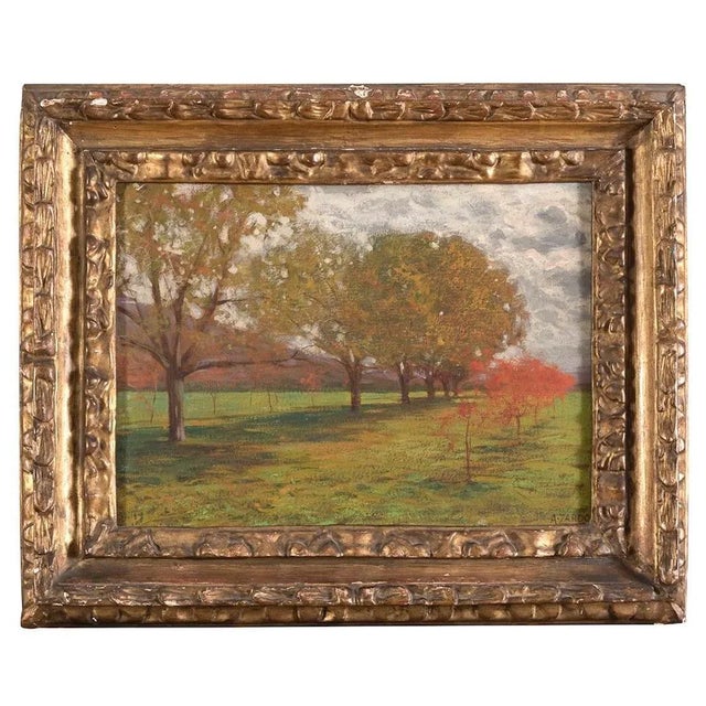 Landscape with Trees - Oil on Cardboard by Alberto Zardo Early 20th Century For Sale - Image 4 of 4