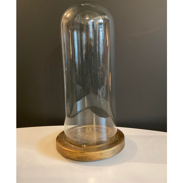 Antique Hand Blown Glass Cloche With Wooden Stand | Chairish