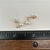 Pearl Diamond Dangle Earrings 10kt Yellow Gold 6.5mm Threaded New, Pair For Sale In New York - Image 6 of 6