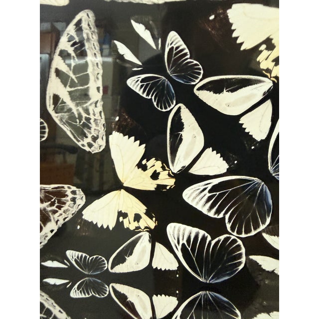 Laitan Home Decorations Butterfly Print Art Work, Framed For Sale - Image 11 of 12