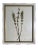 Ivory 1895 Framed Antique Herbariums, Set of 20 For Sale - Image 8 of 12