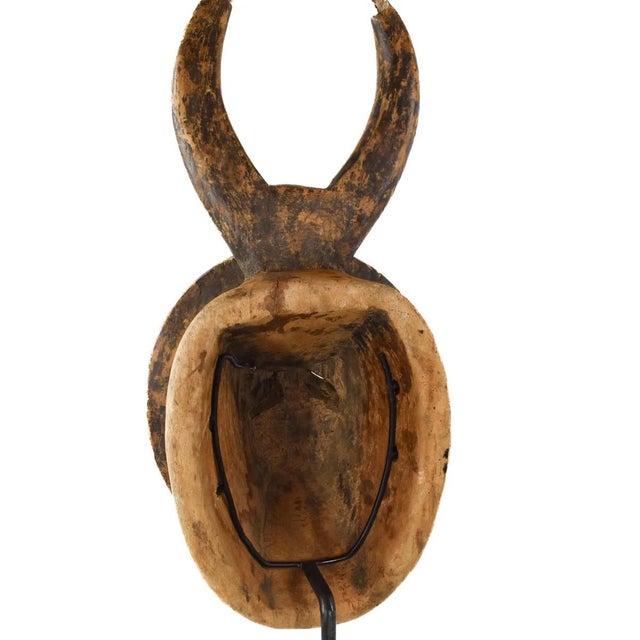 Early 20th Century Early 20th Century Baule Goli Mask Kplekple on Custom Stand Côte d'Ivoire For Sale - Image 5 of 8