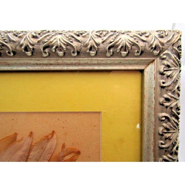 Mid-Century Modern 1939 Pressed Framed Swedish Herbaria With Nomenclature Label For Sale - Image 3 of 6