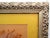 Mid-Century Modern 1939 Pressed Framed Swedish Herbaria With Nomenclature Label For Sale - Image 3 of 6