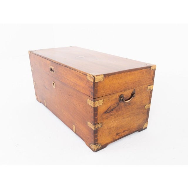 Antique Campaign Military Trunk in Camphor Wood, 1860 For Sale - Image 3 of 7
