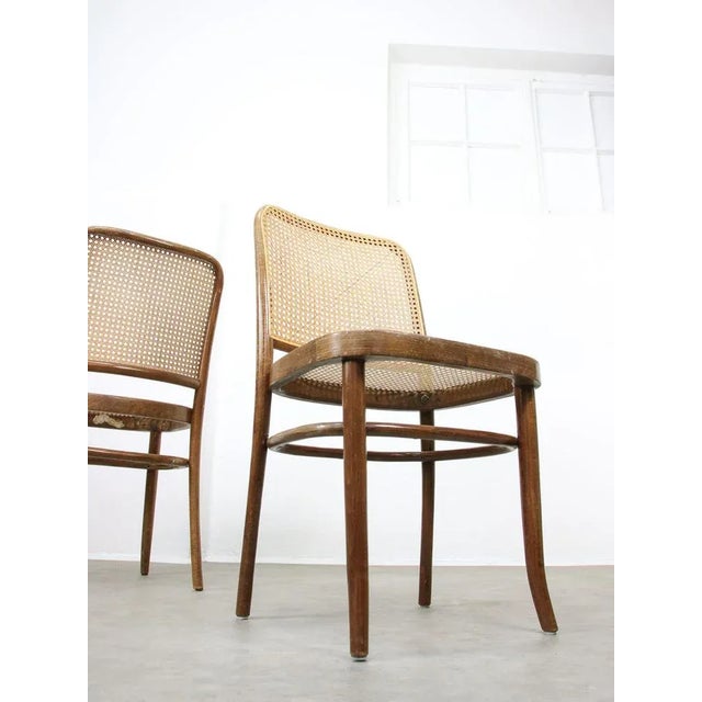 1970s No. 811 Chairs from Michael Thonet, 1970s, Set of 4 For Sale - Image 5 of 12