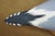 Late 20th Century Vintage Lynda C. Bryan Hand Carved Pine Wooden Wildlife Herring Gull Sculpture For Sale - Image 5 of 14