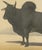 19th Century Olivier De Penne, Zebu Bull, Humped Cattle, 1863, Chromolithograph For Sale - Image 5 of 9