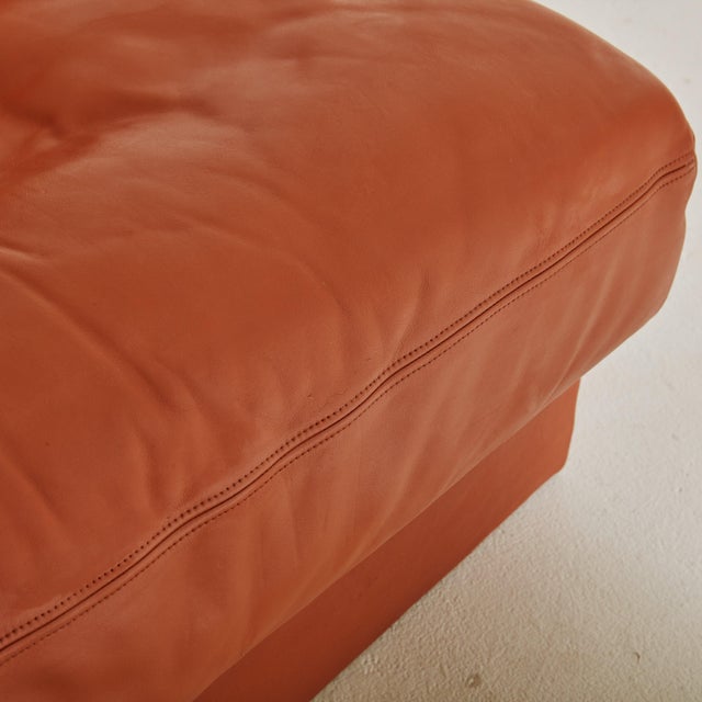 Animal Skin ‘DS-76/107’ Cognac Leather Convertible Lounge Chair by De Sede, Switzerland For Sale - Image 7 of 11