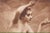 Paper Collection of Three Nude Photogravures From "Woman, Nature and Civilization," 1925 For Sale - Image 7 of 14