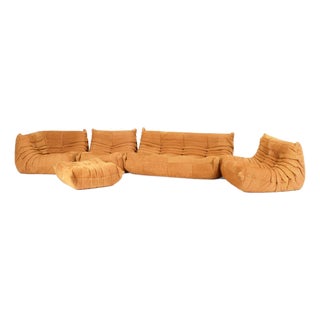 Authentic Togo Sofa 5-Piece Set – Cognac Nubuck For Sale
