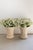 Pair of Vintage French Fluted Planters For Sale - Image 4 of 10