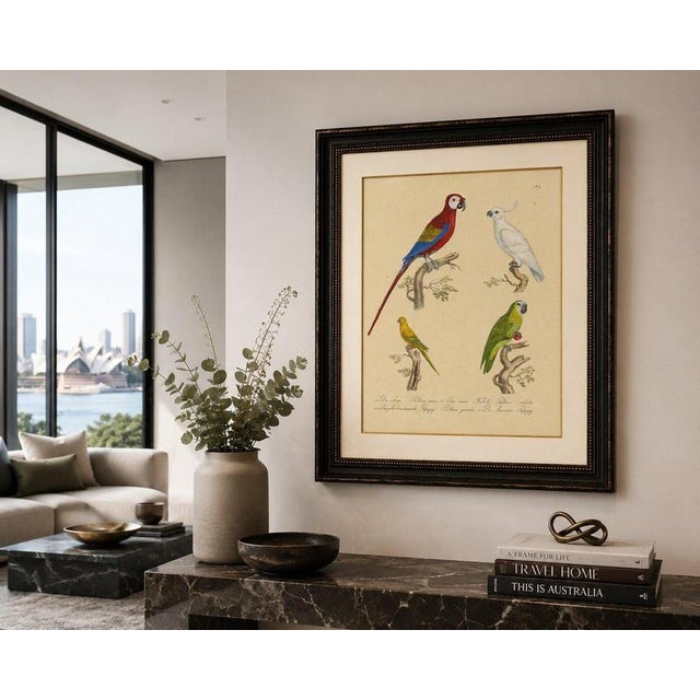 Brodtmann, Macaw, Cockatoo & Amazon Parrots, 1816, Lithograph For Sale - Image 9 of 10