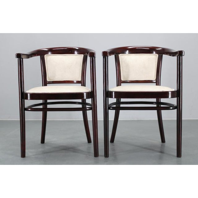 Set of Armchairs from Thonet, Czechoslovakia, 1930s For Sale - Image 3 of 18