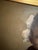 Wood Mid-Century Portrait of a Young Girl in Ornate Gilt Frame Mid Size For Sale - Image 7 of 8